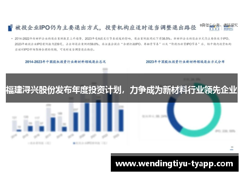 福建浔兴股份发布年度投资计划，力争成为新材料行业领先企业